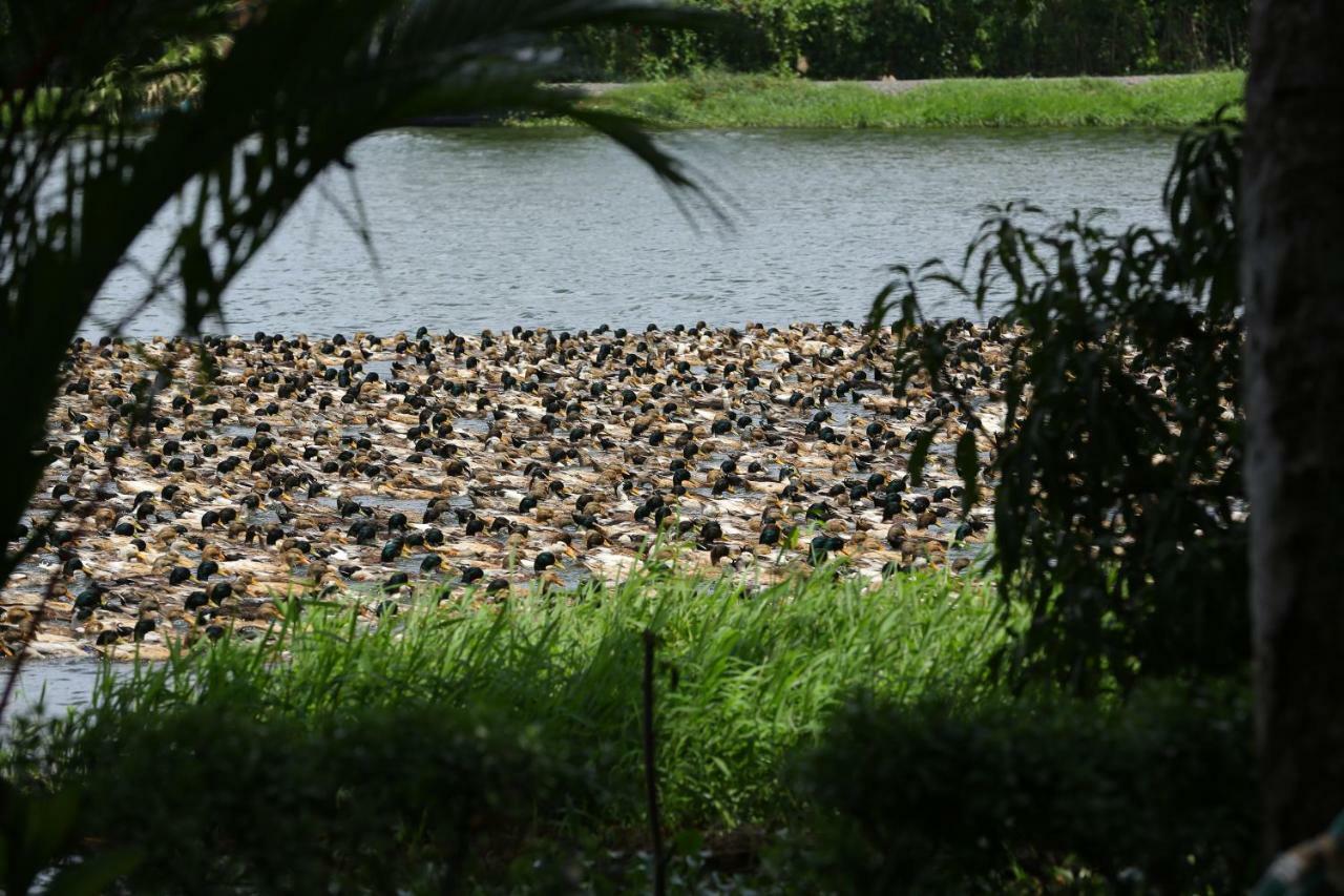 Green Palace Ayurveda Resort, Alleppey Alappuzha المظهر الخارجي الصورة